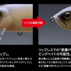 Fish Arrow Riser Jack Jr 19cm, 44g 7 Fish Arrow Riser Jack Jr 19cm, 44g -Catch Kracht Verkoop FA 4573251345986r 4