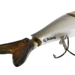 Westin Ricky The Roach Swimbait W. Lip 8cm 7g Sinking -Catch Kracht Verkoop P032 551 007r 4
